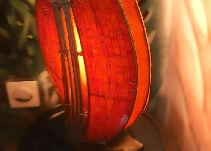 Apartment Bleu Sidi Bou Said A Ferrand